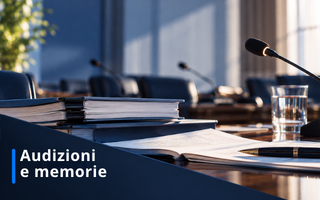 AUDIZIONI E MEMORIE