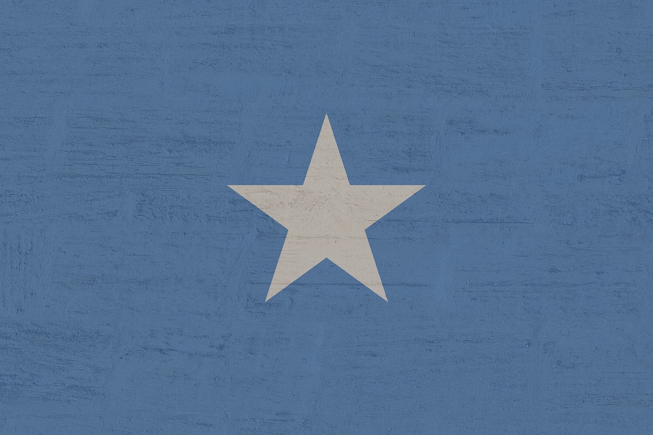 Cessione armamenti Somalia: la 3ª Senato ha concluso l'esame